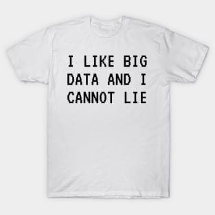 I LIKE BIG DATA AND I CANNOT LIE T-Shirt